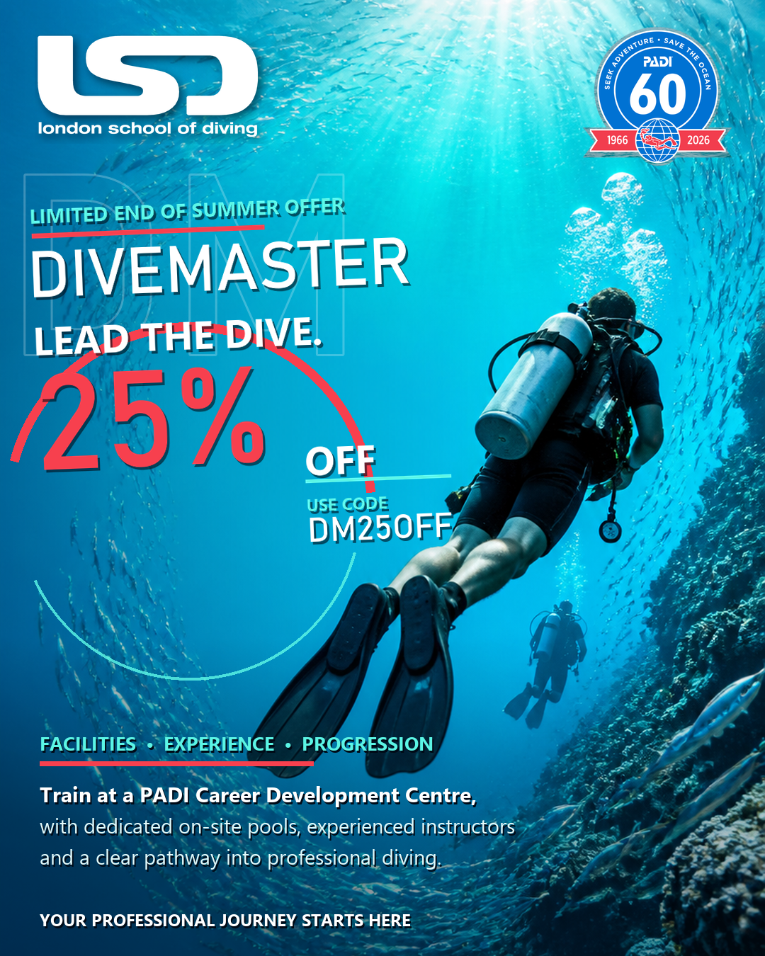 Take the Lead: Your Route to PADI Divemaster