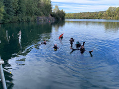 Divers together in the lake