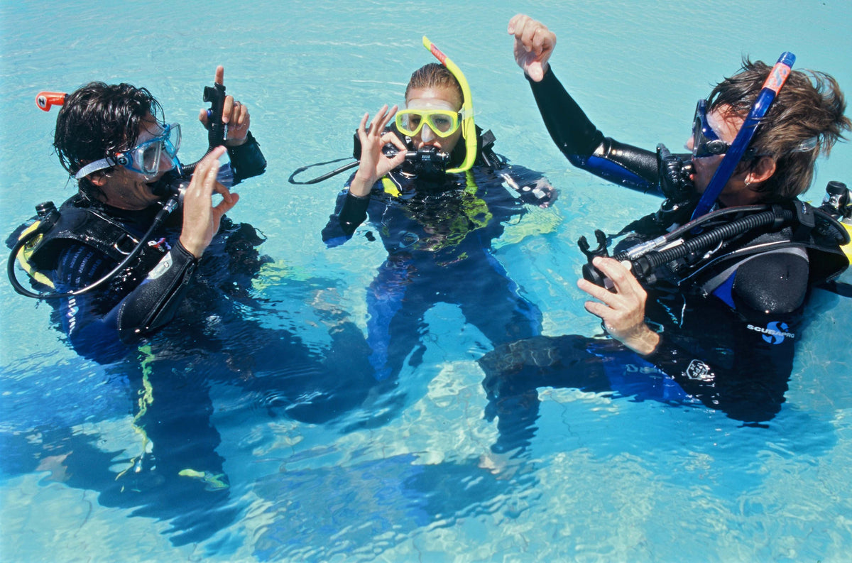 Celebrating Divers — 29 August 2026