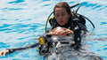 eLearning Bundle - Advanced Open Water Diver and Rescue Diver product image 1