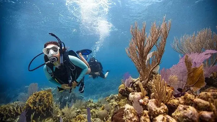 eLearning - Open Water Diver product image 1