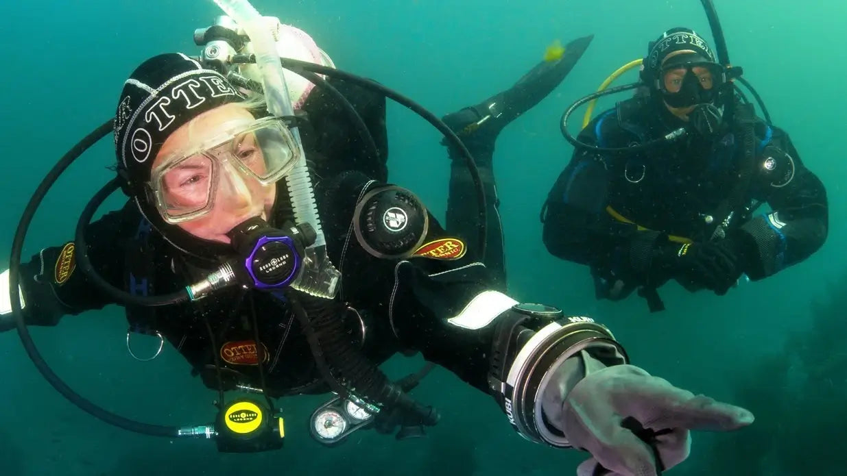 eLearning - Dry Suit Diver product image 1