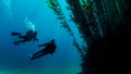 eLearning - Deep Diver product image 1