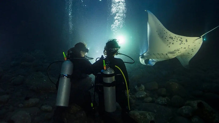 eLearning - Night Diver product image 1