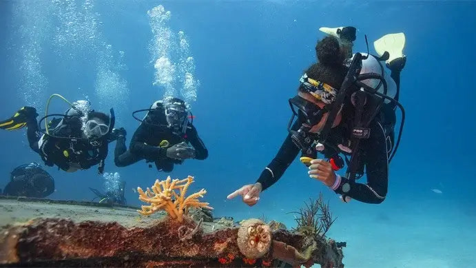 Crewpak - Divemaster with eLearning (English) product image 1