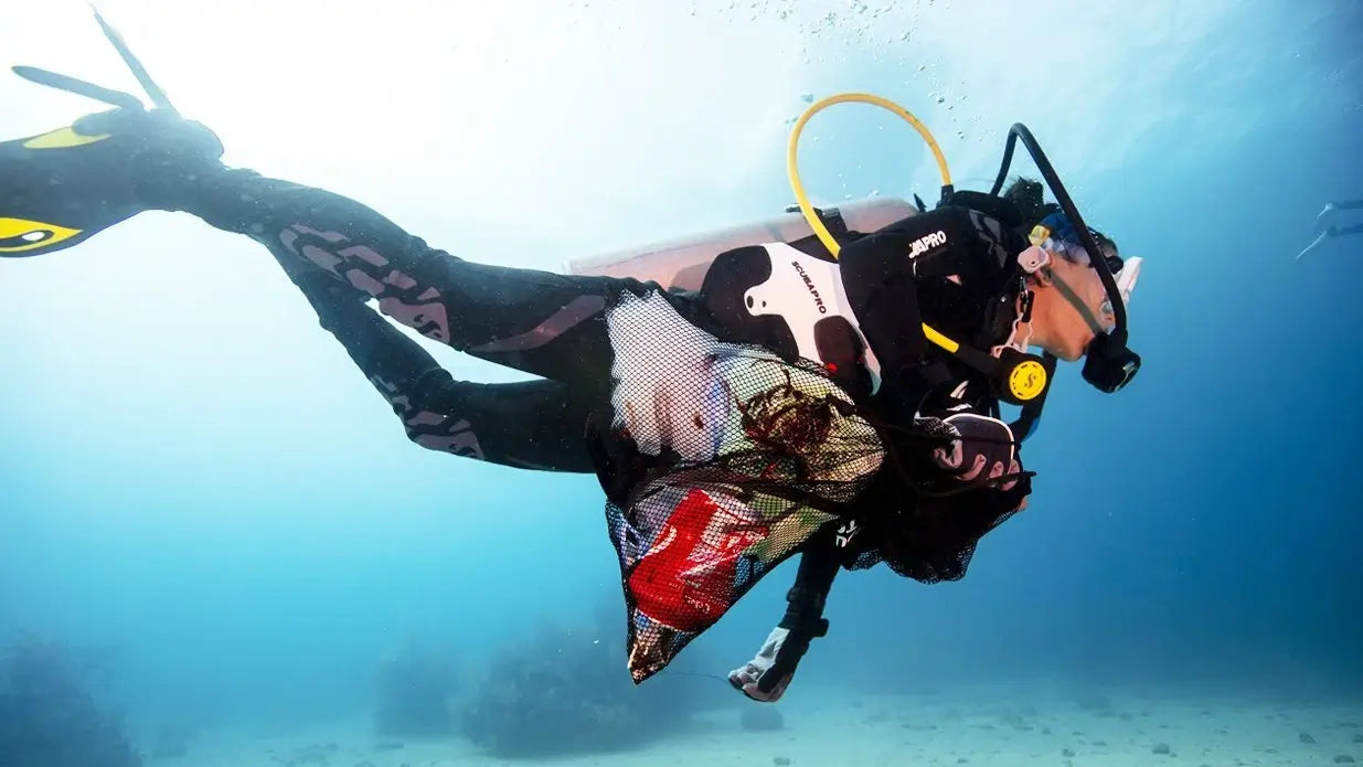 eLearning - Dive Against Debris product image 1