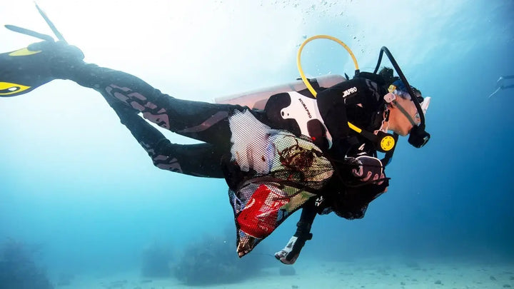 eLearning - Dive Against Debris product image 1