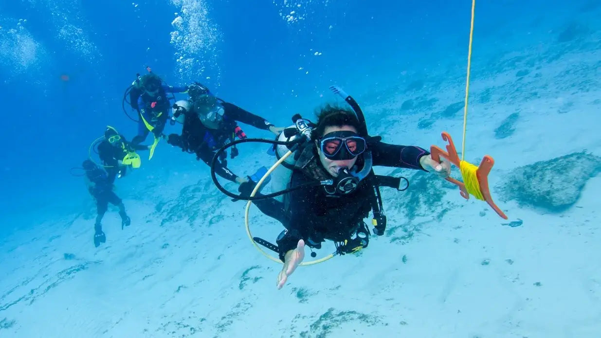 eLearning - Drift Diver product image 1
