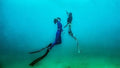 eLearning - Advanced Mermaid product image 1