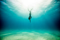eLearning - Advanced Freediver product image 1