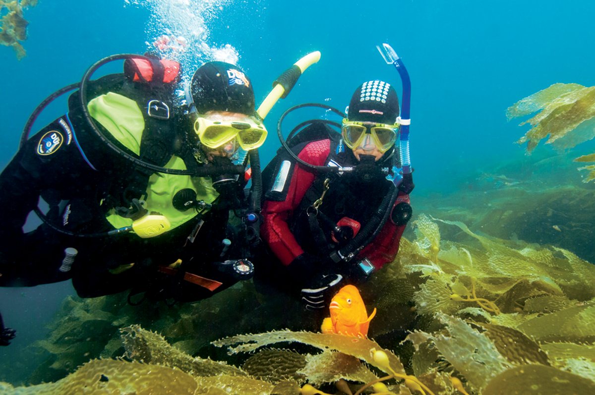 Two certified divers underwater giving the OK sign