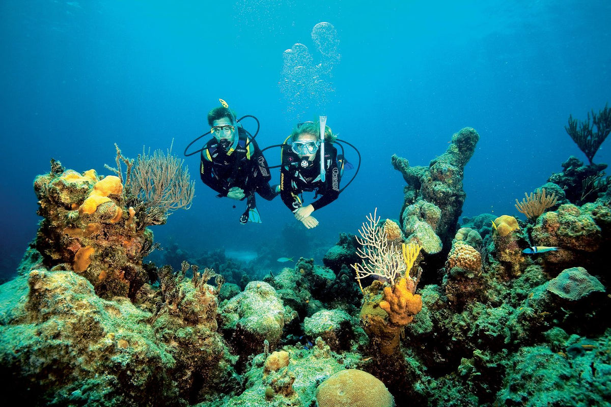 Divers over a coral reef
