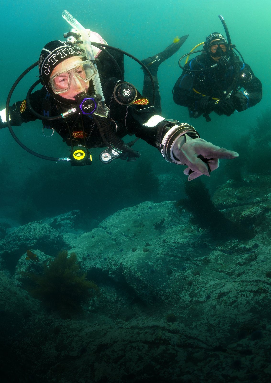 Drysuit diver in cold water