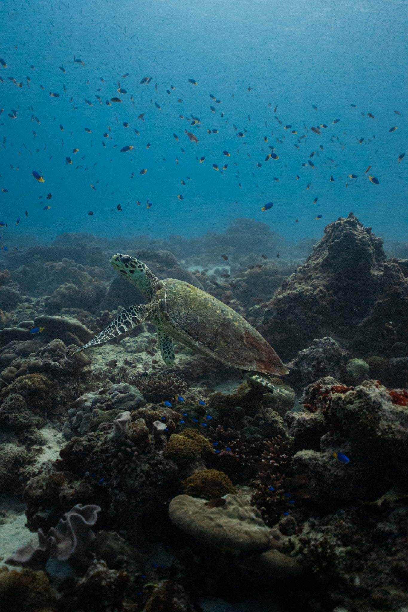 Seychelles 2027 trip photograph 2