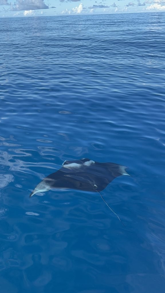 Seychelles 2027 trip photograph 5