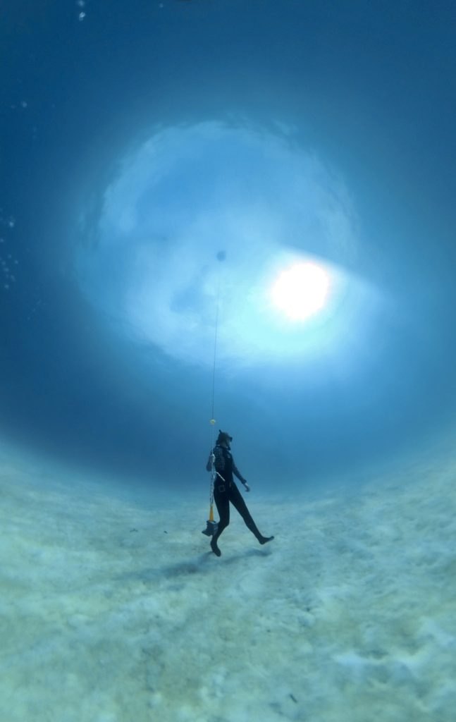 Seychelles 2027 trip photograph 7