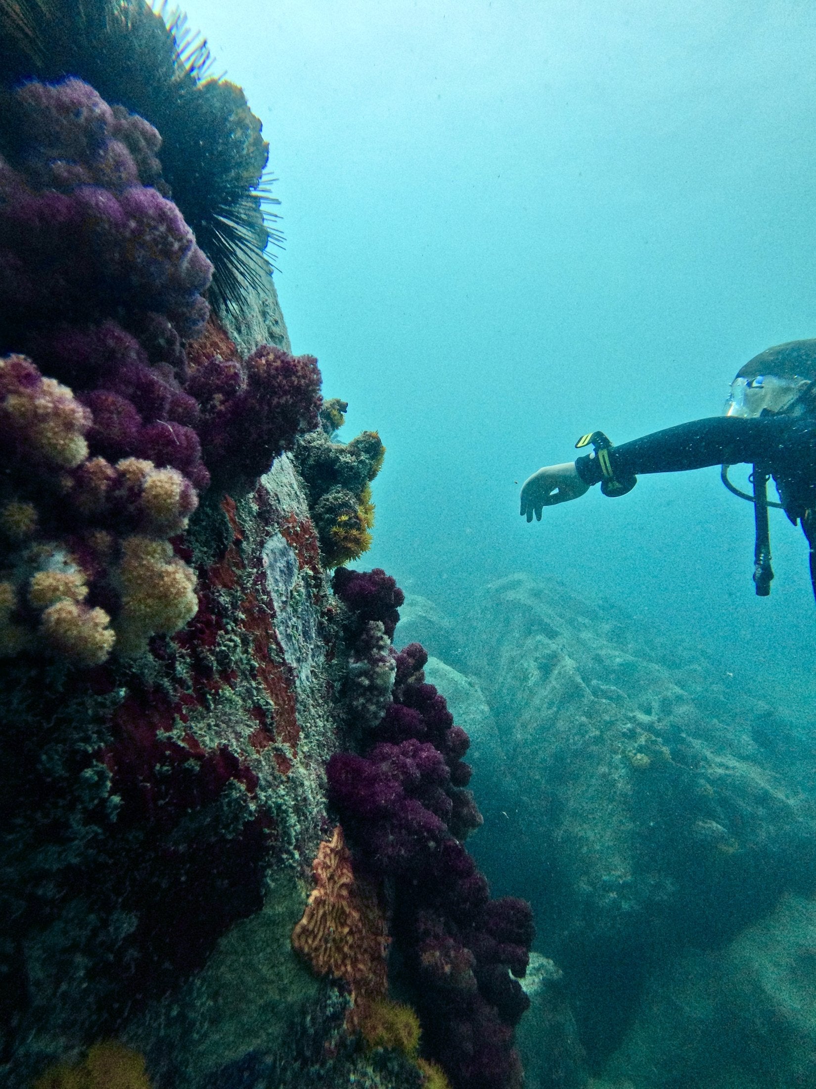 Seychelles 2027 trip photograph 12