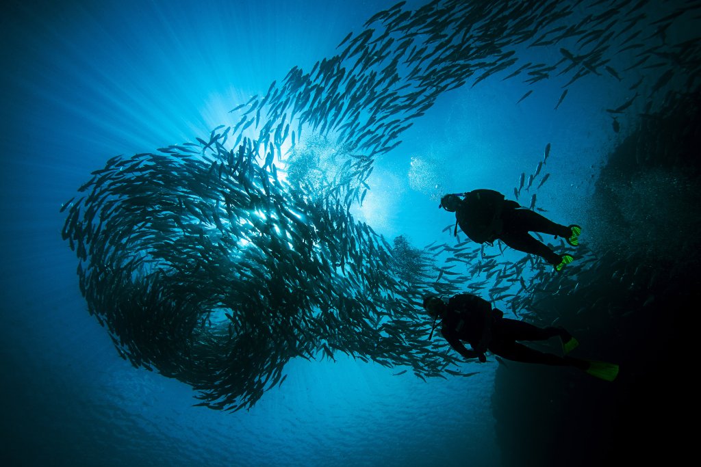 Deep Diver
