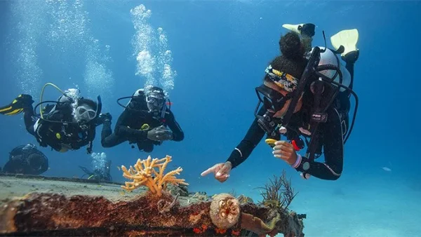 Crewpak - Divemaster with eLearning (English)