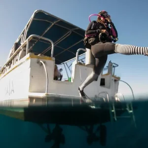 eLearning - Boat Diver