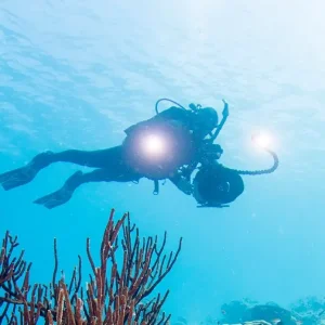 eLearning - Digital Underwater Photographer