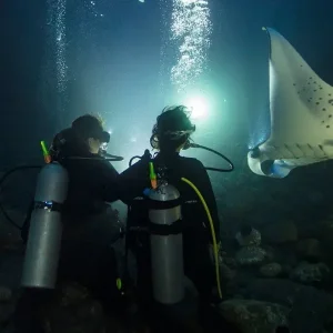 eLearning - Night Diver